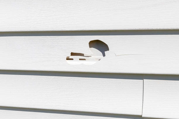 Best Custom Trim and Detailing for Siding  in Myrtle Grove, NC
