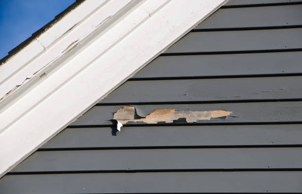 Historical Building Siding Restoration in Myrtle Grove, NC